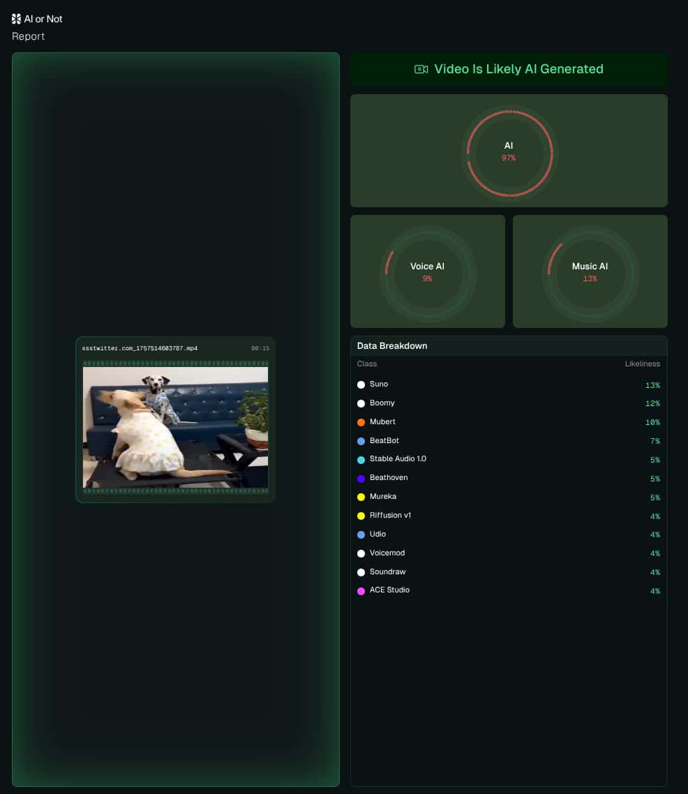 AI Dog Video Report AI Dog Video Report