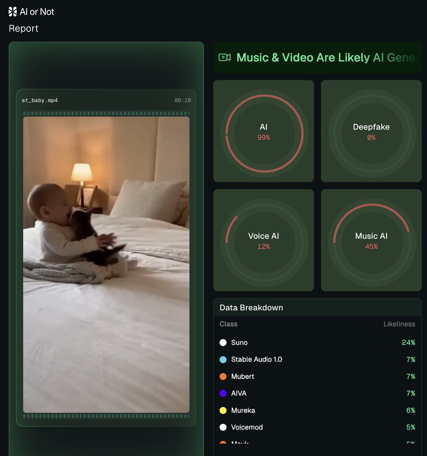 Cat Babies AI detection report Cat Babies AI detection report